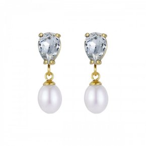 Örhängen Posh Crystal Pearl Earring i klar/guld
